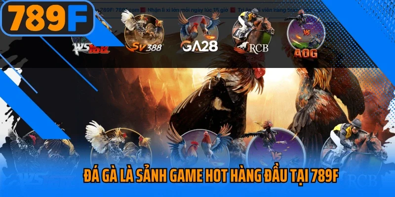 Đá gà là sảnh game hot hàng đầu tại 789f