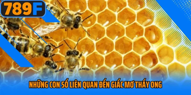 Những con số liên quan đến giấc mơ thấy ong